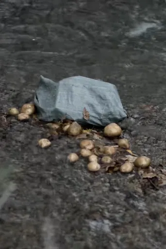 The Potato Eaters poster