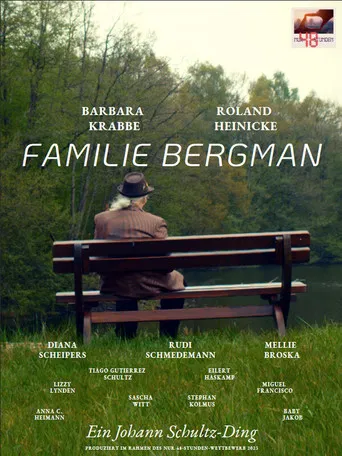 The Bergmans poster