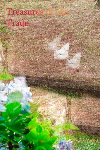 Treasures of the Trade poster