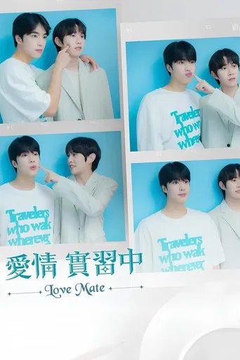 爱情伴侣：电影版 poster