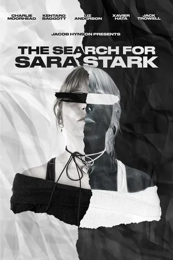 The Search for Sara Stark poster