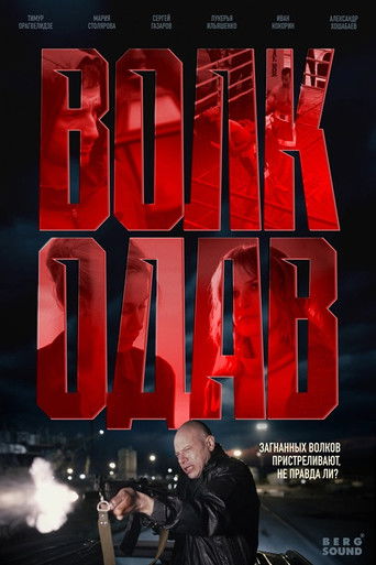 Волкодав poster