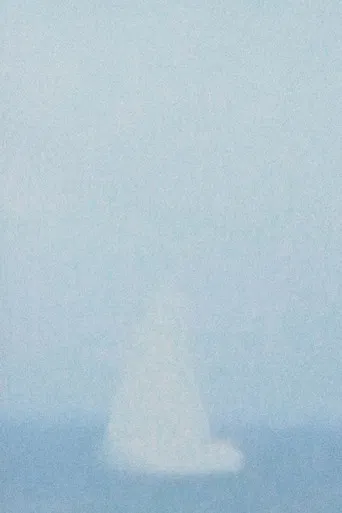 Dietro i Vetri poster