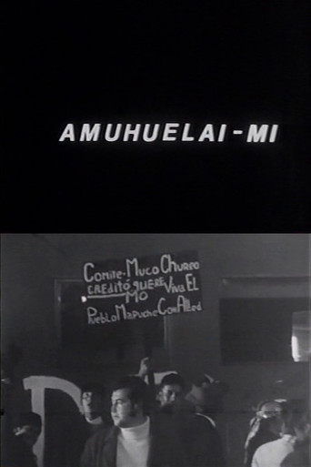 Amuhuelai-mi poster