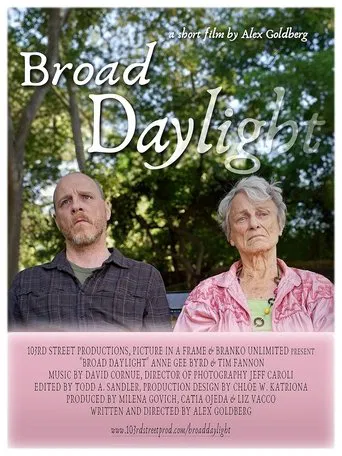 Broad Daylight poster