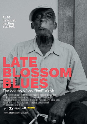 Late Blossom Blues poster