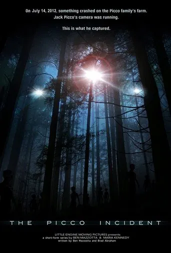 The Picco Incident poster