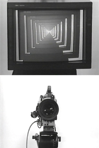 Observer / Observed poster