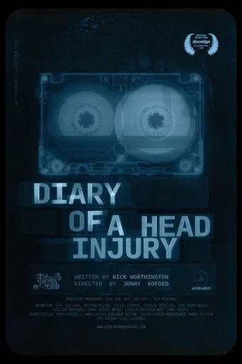 Diary of a Head Injury poster