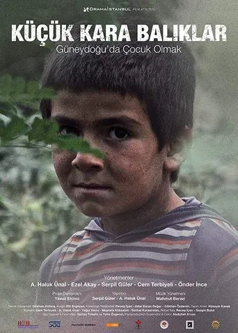 Little Black Fishes poster