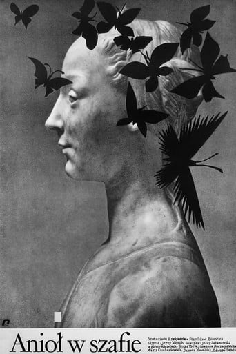 Angel in the Wardrobe poster