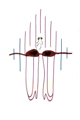 Big Brown Eyes poster