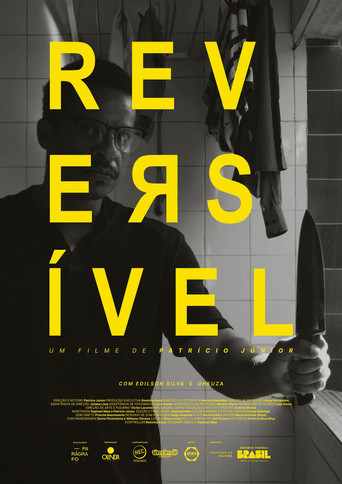 Reversível poster
