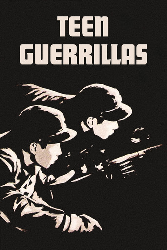 Teen Guerrillas poster