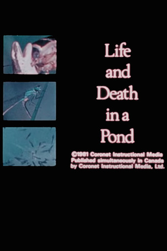 Life and Death in A Pond poster