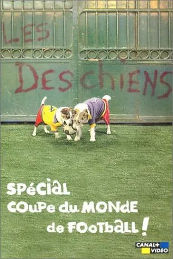 Les Deschiens - Spécial Coupe du Monde de football poster