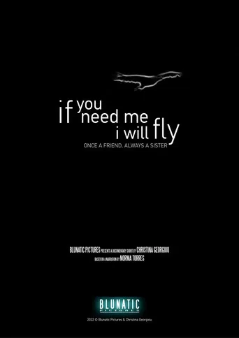 If You Need Me, I Will Fly poster