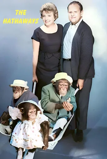 The Hathaways poster