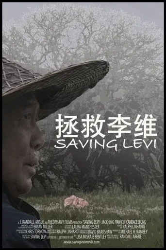 Saving Levi poster