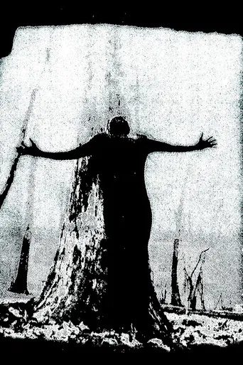 IIsandra In Ruin poster