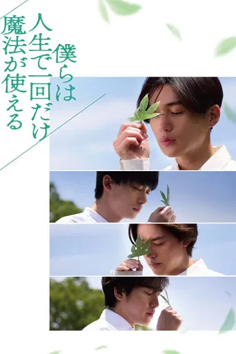 We Can Only Use Magic Once in Our Lives poster