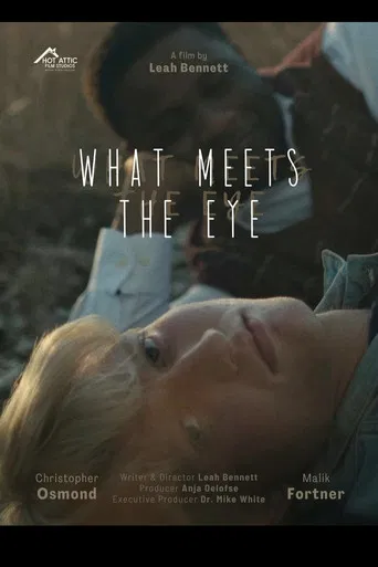 What Meets The Eye poster