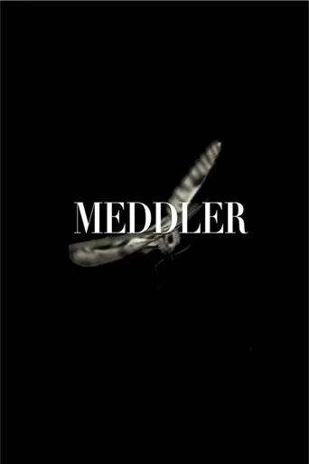 Meddler poster