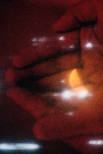 Trabalho de Amor Perdido poster