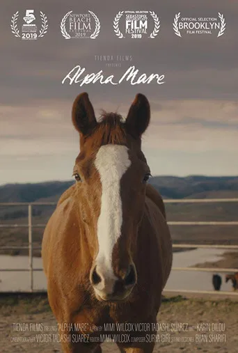 Alpha Mare poster