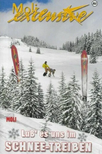 Lass es uns im Schnee treiben poster