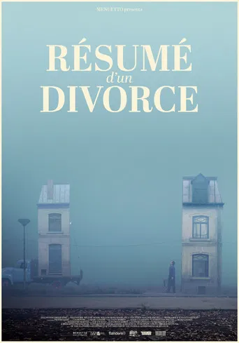 Manual for a Divorce poster