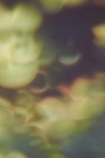 Refractions in Green poster