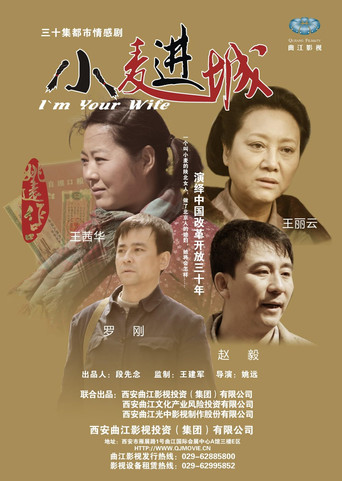 小麦进城 poster