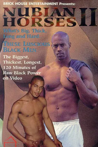 Nubian Horses 2 poster