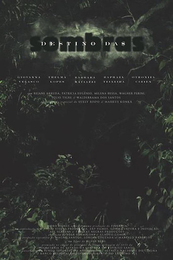 Destino das Sombras poster