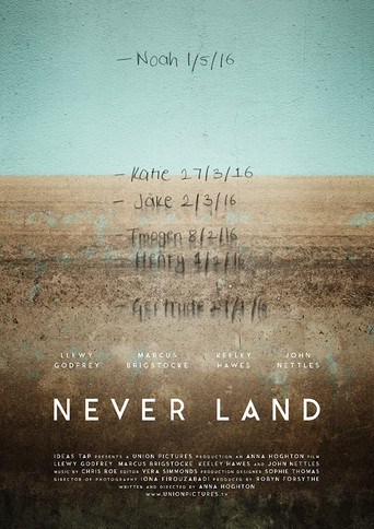 Never Land poster
