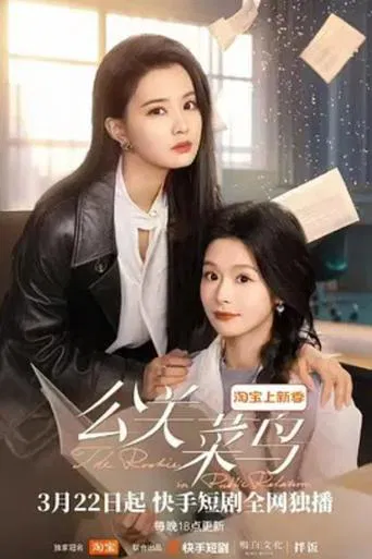 The Rookie in Public Relation poster