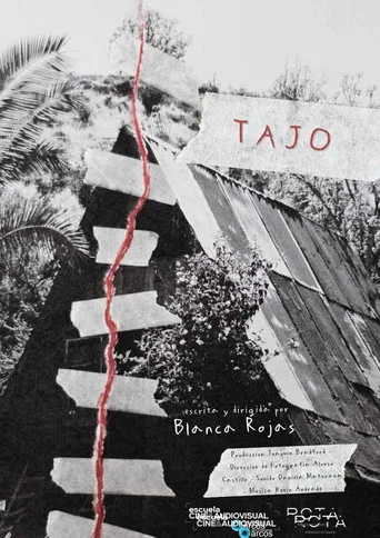 Tajo poster