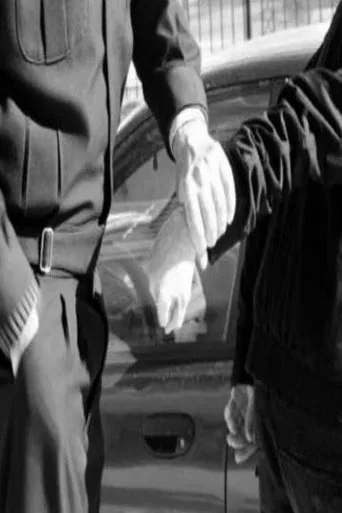 Crossing the line poster