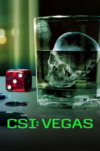 CSI: Vegas poster