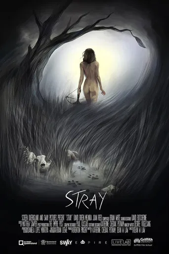 Stray poster