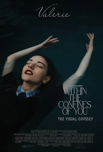 Within the Confines of You: The Visual Odyssey poster