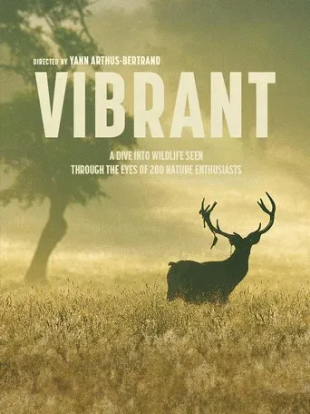 Vibrant poster