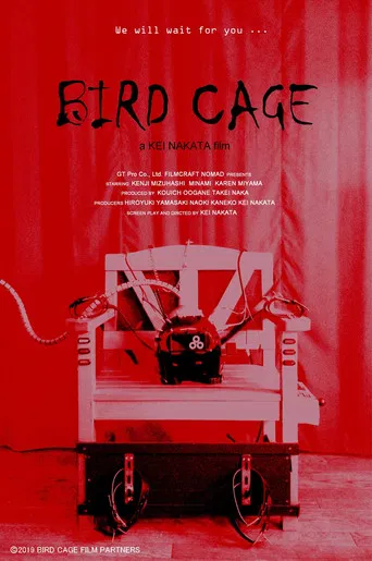 Bird Cage poster
