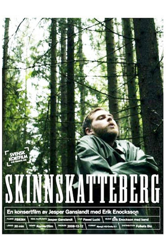 Skinnskatteberg poster