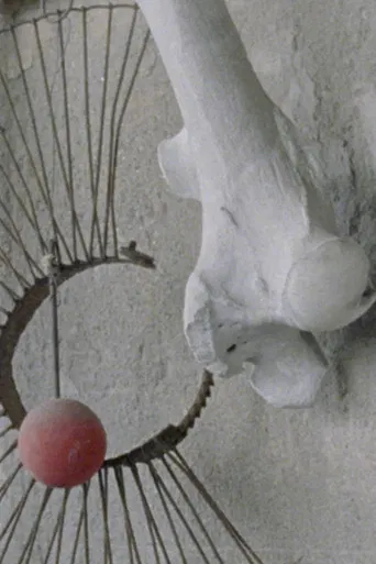 Enigmatic Whisper poster