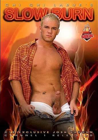 Slow Burn poster