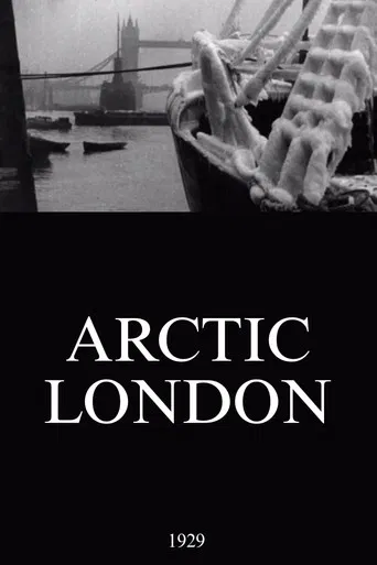 Arctic London poster