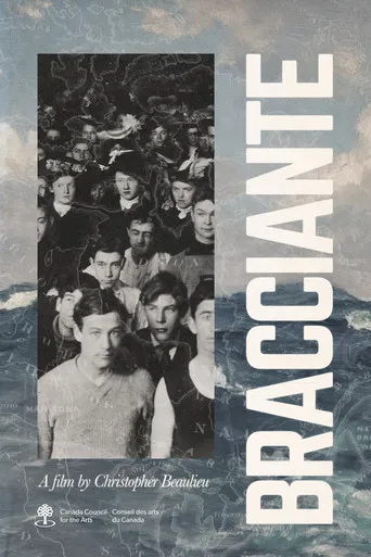Bracciante poster