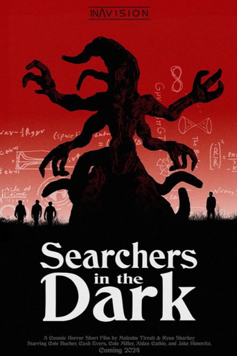 Searchers in the Dark poster